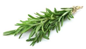 Image result for rosemary oil for hair