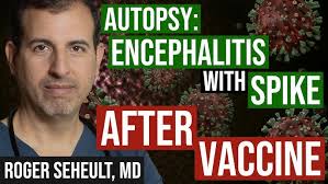 Vaccines: Friend or Foe?' Trinity Elective