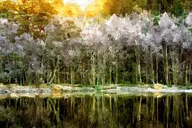 Image result for fotosketcher