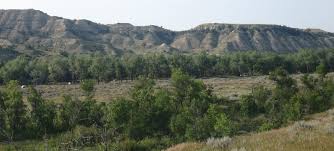 Medora campgrounds are designated locations that allow for temporary outdoor living, generally involving overnight stays in medora, nd. Cottonwood Campground Nd Theodore Roosevelt National Park Recreation Gov