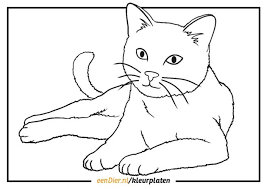 Of je nu van grote honden of een schattig klein hondje houdt van puppy s van jongens of van meisjeshonden van grappige of van serieuze honden er is voor elk wat wils. Kleurplaat Poes Nyan Cat Dieren Kleurplaten Kat Schilderij