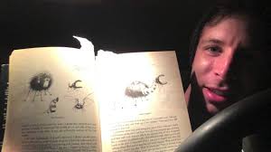 Summary of Tim Burton's book