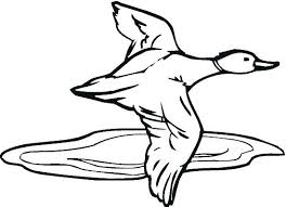 1 description 1.1 red dead redemption 2 1.2 red dead online 2 location 3 tips 4 crafting 4.1 trapper 4.2 fence 5 video guide 6 trivia 7 achievements/trophies 8 references 9 related content. Duck Hunt Coloring Pages Novocom Top