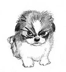 Dog Sketches Pencil Drawings Of Dogs Dog Sketch Dog Drawing Dog Pencil Drawing Pitbull dog mongrel head drawing. dog sketches pencil drawings of dogs