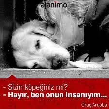 sizin kopeginiz mi hayir ben onun insaniyim oruc aruoba ajanimo ajanbrian unlusozler kedi kopek candostu d hayvan sozleri hayvan haklari hayvan
