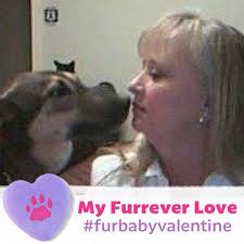 Congressman Jodey Arrington