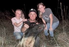 When is the best time to hunt hogs? Hog Hunt Central Florida Florida Hog Hunts And Alligator Hunts
