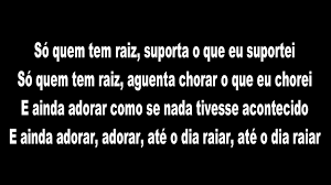 Baixar música ouvir música plays 113. So Quem Tem Raiz Baixar Ministerio Kadoshy So Quem Tem Raiz Youtube