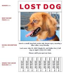Use our free lost dog flyers or missing pet posters to find your cat or dog. Lost Dog Flyer Humane Society Of Broward Countyhumane Society Of Broward County