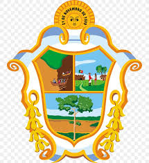 Podemos já confirmar vizela como a capital da p*taria do nosso país? Bandeira De Manaus Stock Photography Illustration Vector Graphics Png 744x898px Manaus Amazonas Area Artwork Brazil Download