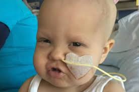 3 Year Old Cancer Survivor Walks Down The Aisle As Flower Girl At Donor's  Wedding