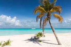 Image result for beaches in isla mujeres