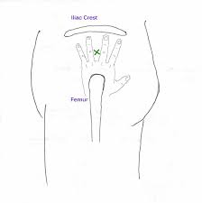 If you are injecting the vitamin b12 into yourself, use your free hand to hold the skin of the injection site taunt. Dr Fairchild S Integrative Medicine Page