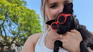 Fundraiser by carly delsack : Max and Lily were Poisoned at the Park