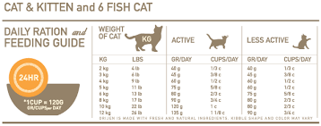 orijen cat kitten daily ration and feeding guide kittens