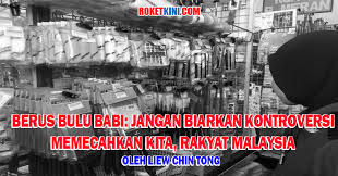 More images for berus cat bulu babi » Berus Bulu Babi Jangan Biarkan Kontroversi Memecahkan Kita Rakyat Malaysia Roketkini Com