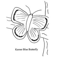Nine free printable butterfly coloring pages that include five sets of small butterflies and four large butterflies. Top 50 Free Printable Butterfly Coloring Pages Online