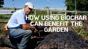 Learn how to build up soil fertility in we know a great garden, starts with great soil. How Using Biochar Can Benefit The Garden Youtube