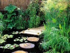 Pond Ideas Dragonfly Pond Ideas Pinterest