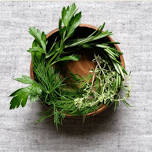 Wellness from the Kitchen