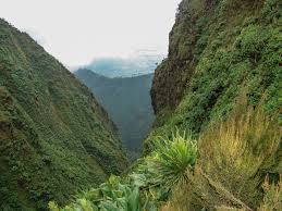 The park can be accessed by both road and air transport. Places To Stay Within Rwenzori Mountains National Park African Jungle Adventures