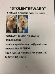 This is a list of the animals who appeared on noah's ark. Two Puppies Stolen From Pet Store In Macon Have Been Returned