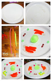 You are to design your own model of the inside of an animal cell. Animal Cell Stem For Kids Unique Christmas Ornaments Printable The Natural Homeschool