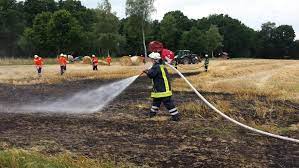 Americare juniper berries ingredients said, i am no longer positive the place you are getting your information, however good topic. Stoppelbrand In Schwachhausen Kreisfeuerwehrverband Celle E V