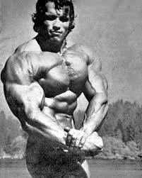 To Be Or Not To Be Not To Be Arnold Schwarzenegger Schwarzenegger Druzya Ne Zabyvaem Podpisyvatsya Friends Do Not Forget To Subscribe Old School 333 Body Instagram Old School Gym Time