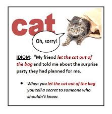 Lerning English With Cats English Idioms Idioms Teaching Idioms