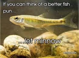 Fish Pun Fish Puns Animal Puns Fish Breeding