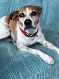 WALKING MISS DAISY- ATL