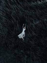 Make gifs, join group chats, find your community. Ghost Aesthetic Explore Tumblr Posts And Blogs Tumgir