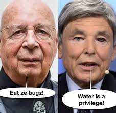 New interim chairman of World Economic Forum