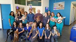 Comprehensive list of san diego, california based veterinary clinics and animal hospitals offering advanced medical diagnostics or pet treatment. San Diego Bay Animal Hospital Home Facebook