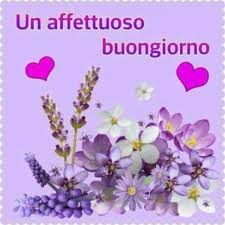 La vendita online di piante e fiori non ha stagionalità, le spedizioni avvengono tutto l'anno senza problemi e con una consegna garantita in due giorni lavorativi. Buongiorno Generiche Archives Pagina 128 Di 210 Bellissimeimmagini It