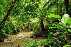 The 60 Mile Darien Gap Leaves The Pan American Highway Forever Incomplete Pan American Highway Tierra Del Fuego And Central America