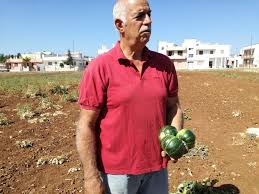 UN NUOVO PAT PER GALATINA: LA MELONCELLA TONDA