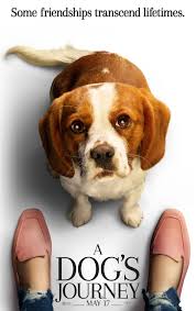 View hd trailers and videos for a dog's journey on rotten tomatoes, then check our tomatometer to find out what the critics say. A Dog S Journey Movie Trailer Teaser Trailer