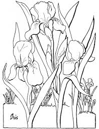 Pretty leaves flowers for adult. 10 Floral Adult Coloring Pages The Graphics Fairy