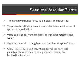 O seedless vascular plants can reproduce sexually or asexually, while nonflowering vascular plants lack flowers or fruit and reproduce asexually. Ppt Plants Powerpoint Presentation Free Download Id 2194072