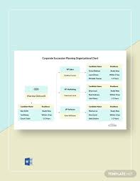 5 Free Succession Planning Organizational Charts Word