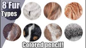 Choose from sets, watercolor, pastel, & more! The Ultimate Colored Pencil Fur Tutorial Sea Lion Lemur And More Youtube