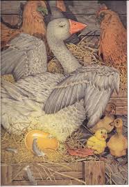 Goose Who Laid The Golden Egg Don Daily Fairytale Illustration Illustration Fairytale Art
