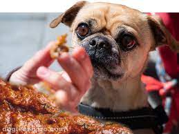 Can Dogs Eat Chicken Skin Raw Cooked Fried Dog Leash Pro