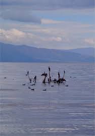 Lake Prespa Macedonia Republic Of Macedonia National Parks Natural Landmarks