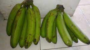 Rasanya tidak lengkap kalau tidak ada sambal. Mengenal Pisang Goroho Pisang Andalan Warga Sulawesi Utara Dan Gorontalo Halaman All Tribun Manado