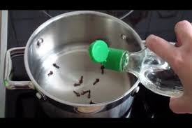 Ein angenehmer raumduft schafft eine wohlfühlatmosphäre zu hause. Video Duftol Selber Machen So Gelingt S