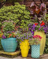 Container Gardens Just Right for the Midwest | Midwest Liʋing