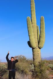 The saguaro is synonomous with the southwest us. Camping In The Incredible White Sands National Monument Mr Mrs Adventure